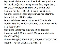 kitten fish 1.webp