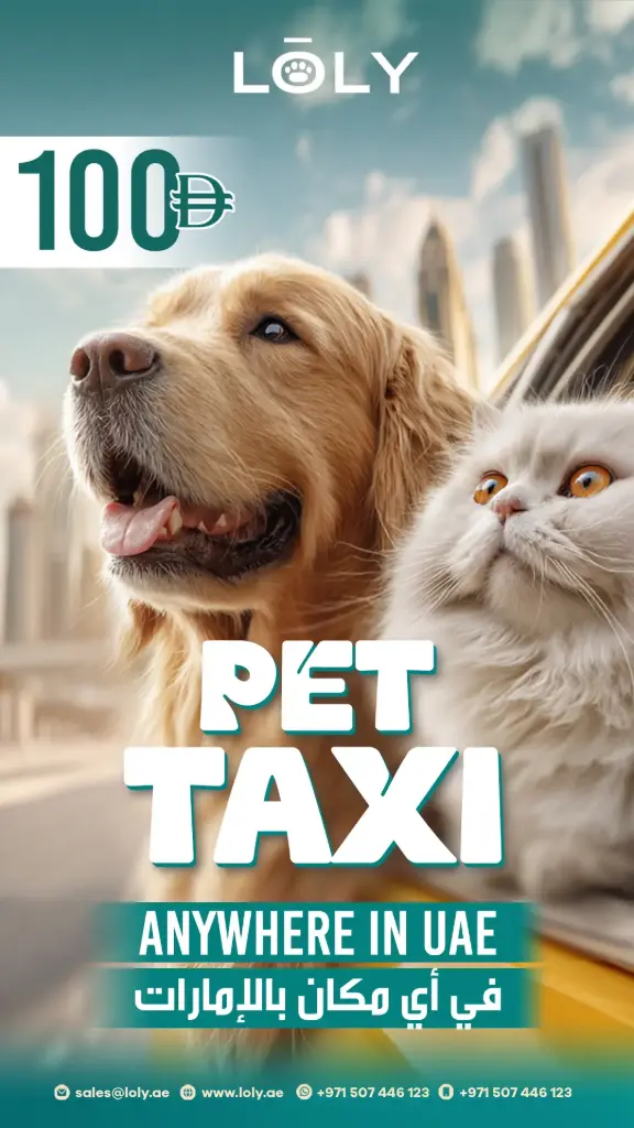 Loly Pet Taxi
